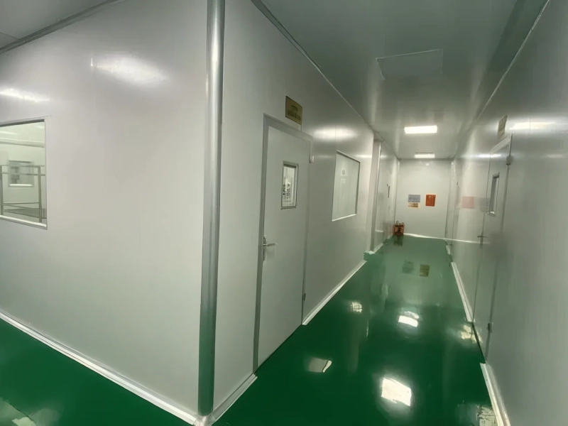Cleanroom walls and ceilings